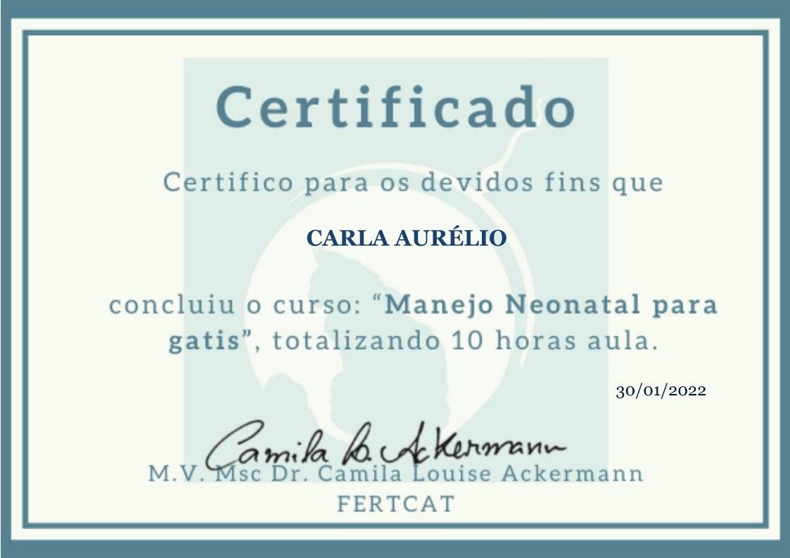 gatil mozziland certificado carla