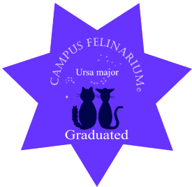 gatil mozziland certificado carla