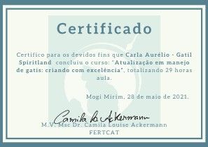 gatil mozziland certificado carla