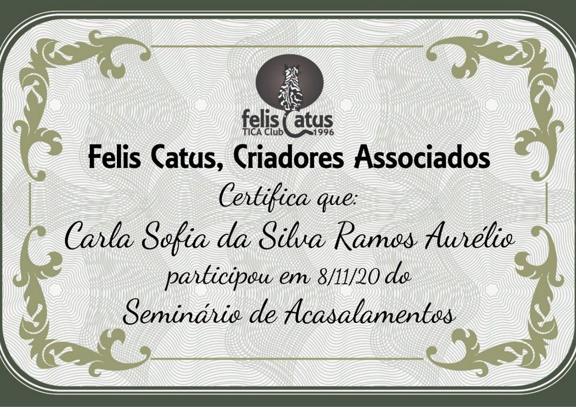 gatil mozziland certificado carla