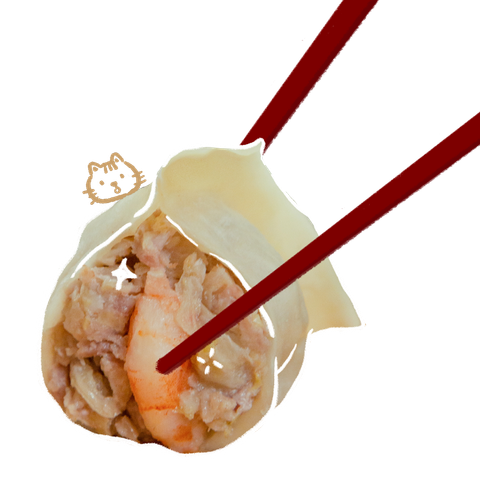 素食水餃