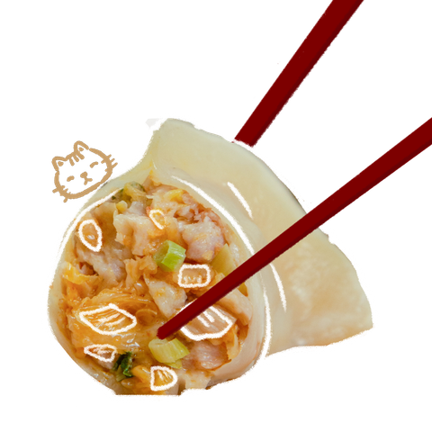 素食水餃