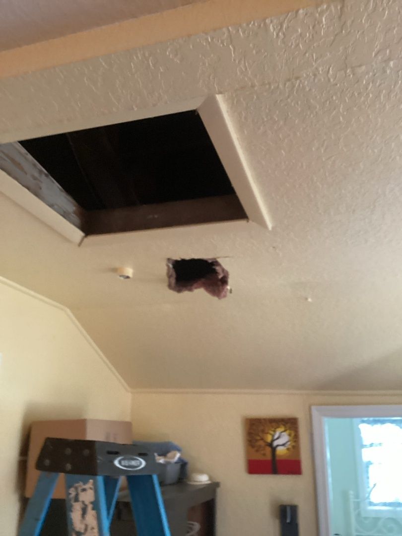 A hole in the ceiling in a room with a blue ladder