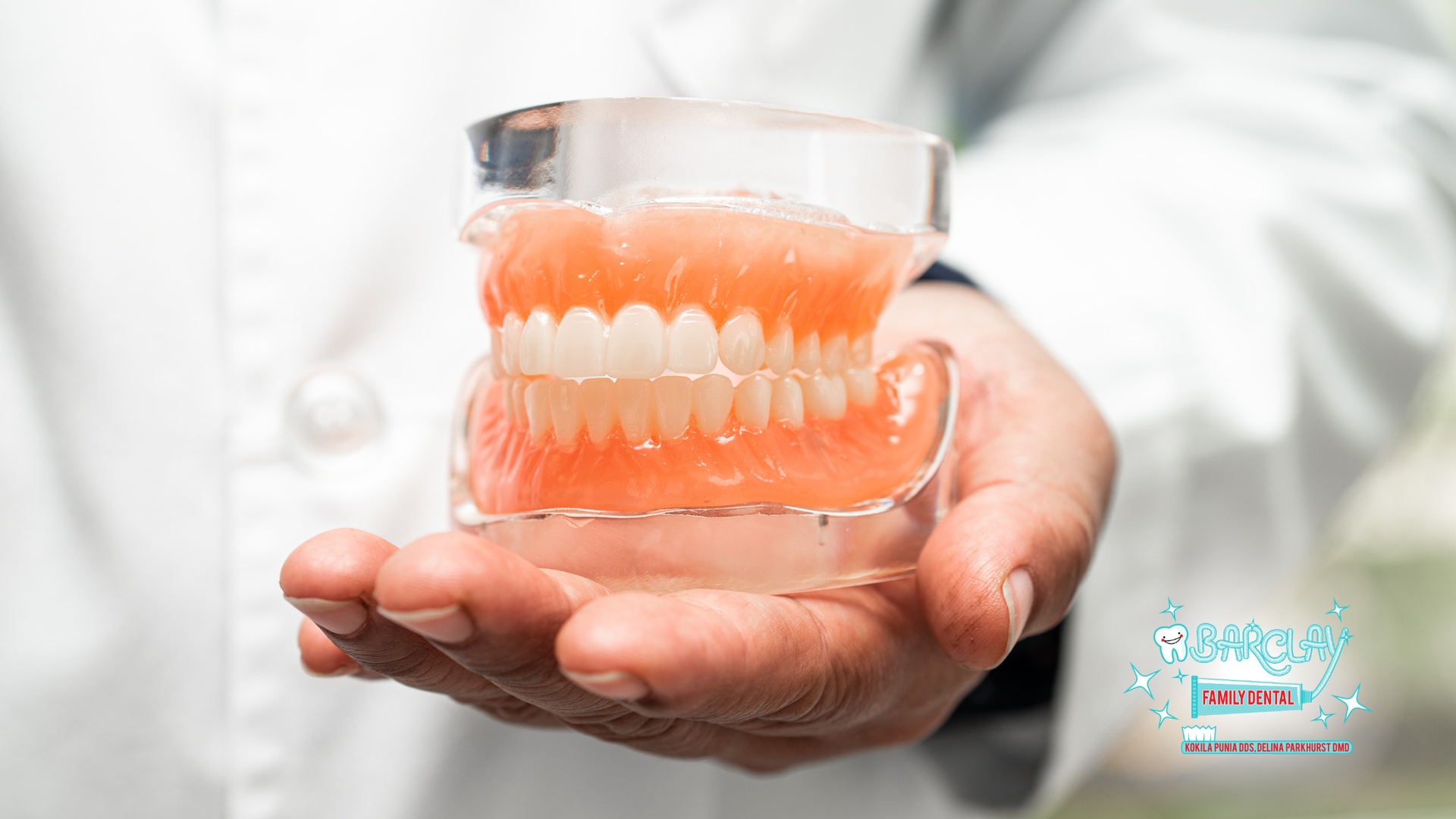 A person is holding a model of teeth in their hands.