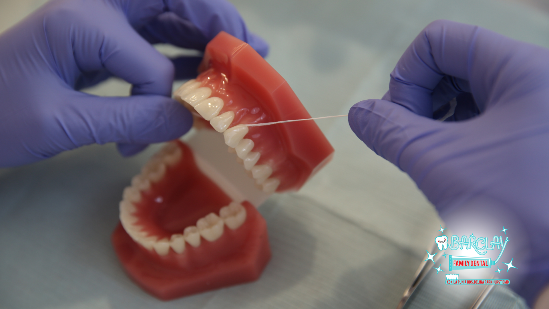 Blue-gloved hands holding an open red dental model showing teeth