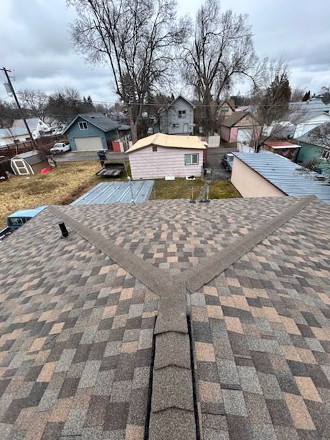 View from a shingled roof over a neighborhood of small houses and leafless trees on an overcast day
