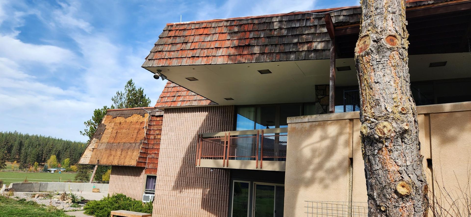 A building with a reddish-brown tiled roof, glass windows, and a balcony, with a large tree trunk in the foreground.