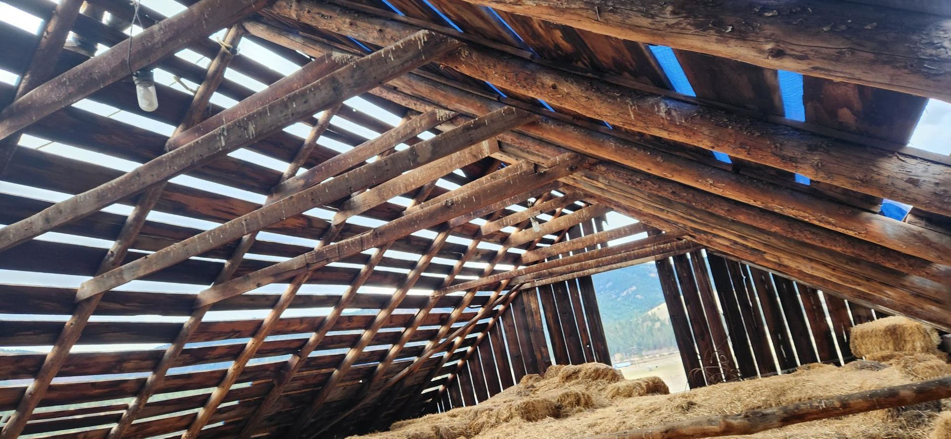 Interior view of a weathered wooden structure, likely a barn, with beams and open roof.