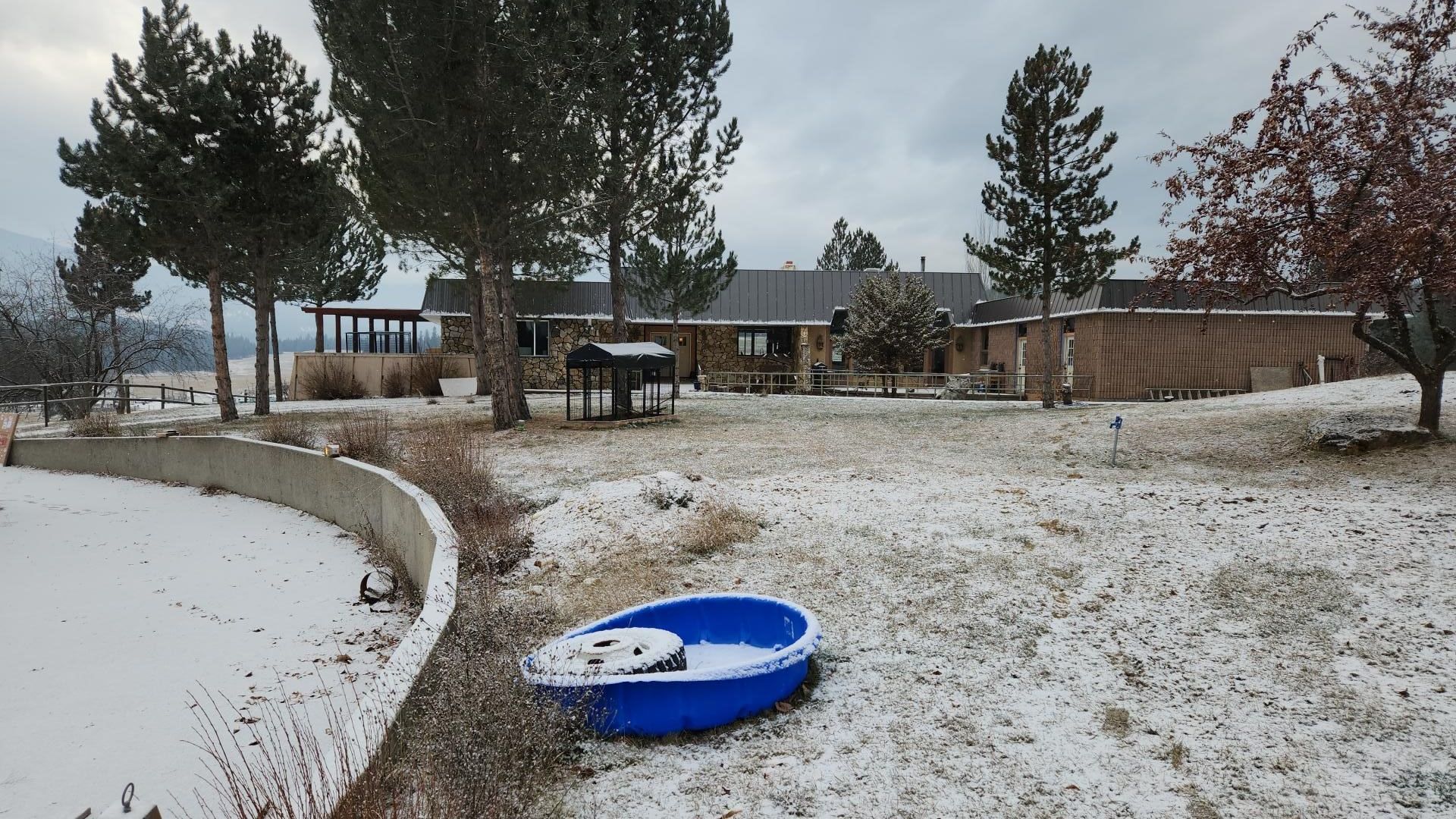 Snowy yard with a blue plastic tub in the foreground. A house is in the background. Cloudy sky.