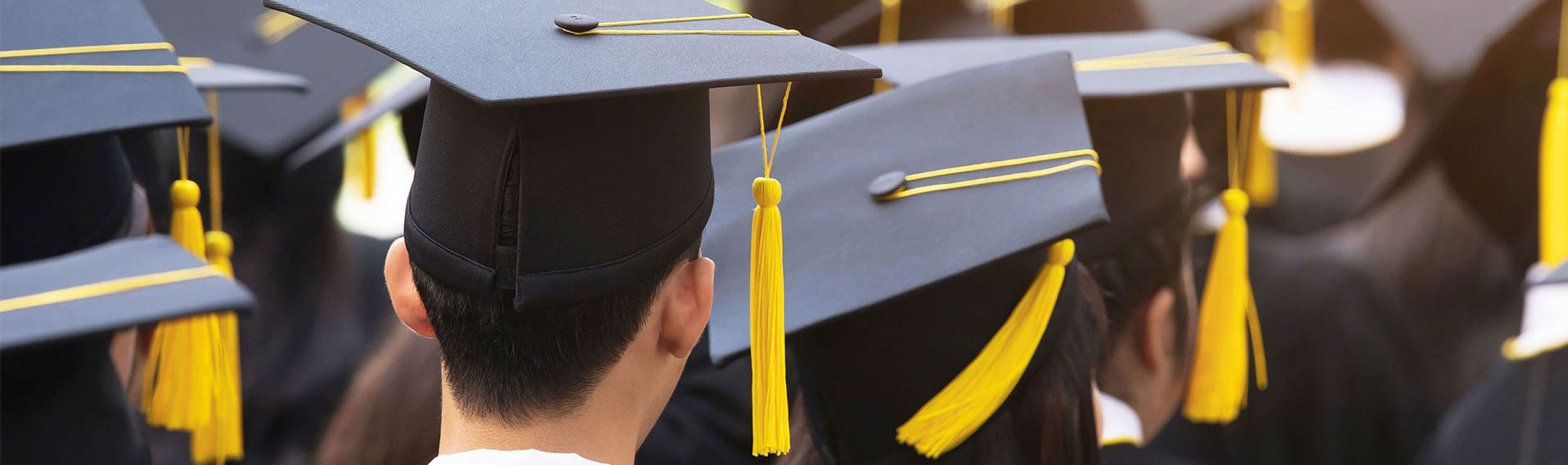 Waipahu Lawn Equipment Contact us at (808) 6771071