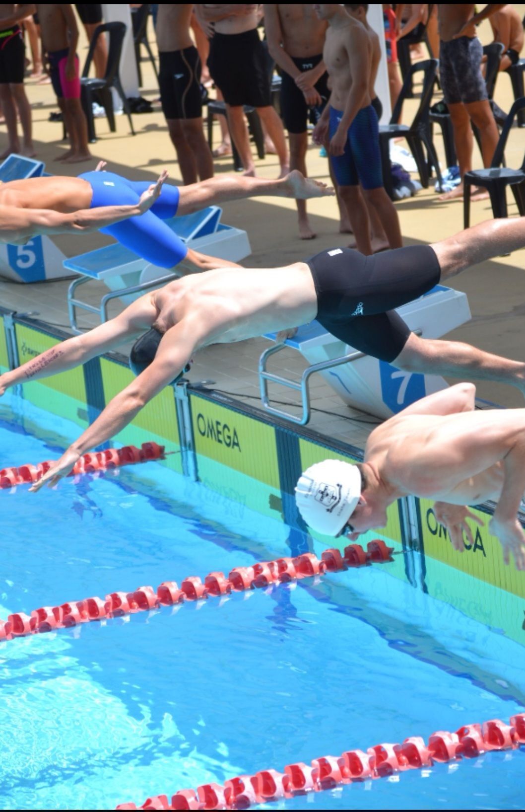 Swimmers diving into a pool from starting blocks, arms outstretched, in bright sunshine.