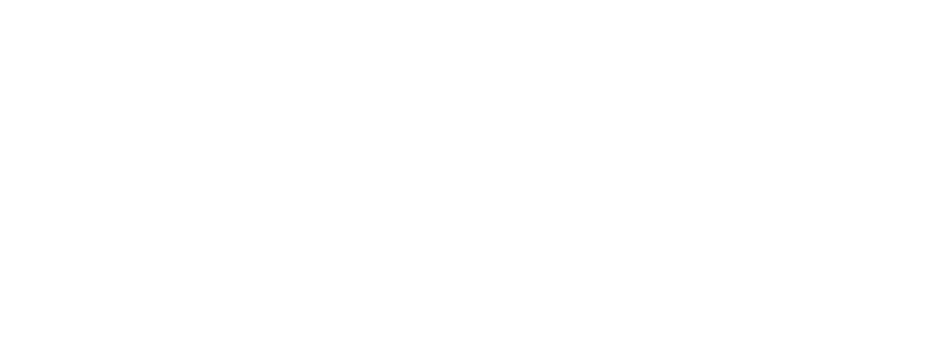 Passonno Paints logo