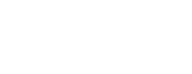 Passonno Paints logo