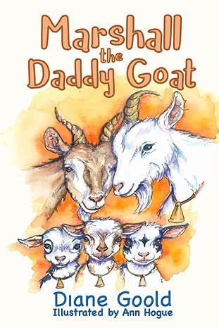 Book cover for