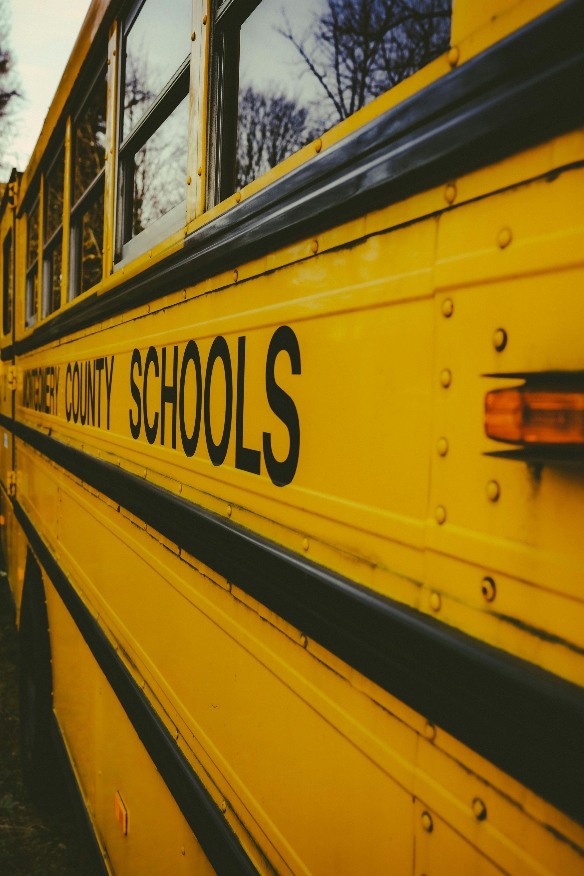 Yellow school bus side with black “SCHOOLS” lettering and windows reflected against trees.