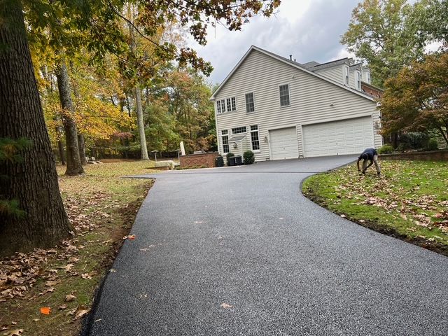 A dog is walking down a driveway in front of a house.