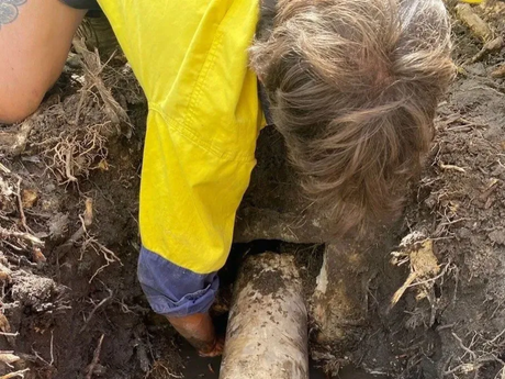 A Carrick plumber inspects a muddy pipe (blocked) in a trench filled with water.