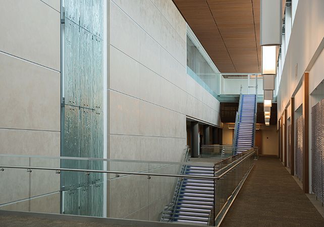 Windows Near Me