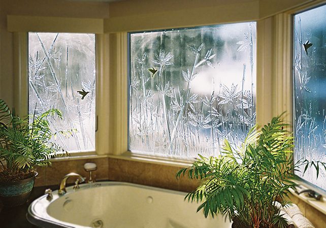 Window