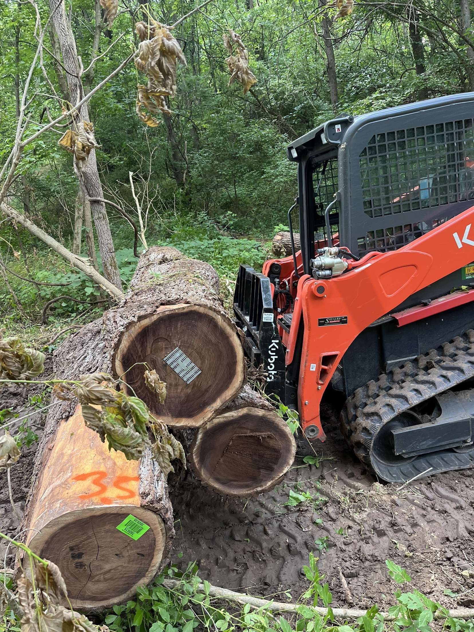 An orange Kubota skid steer next to freshly cut tree logs in a wooded area.