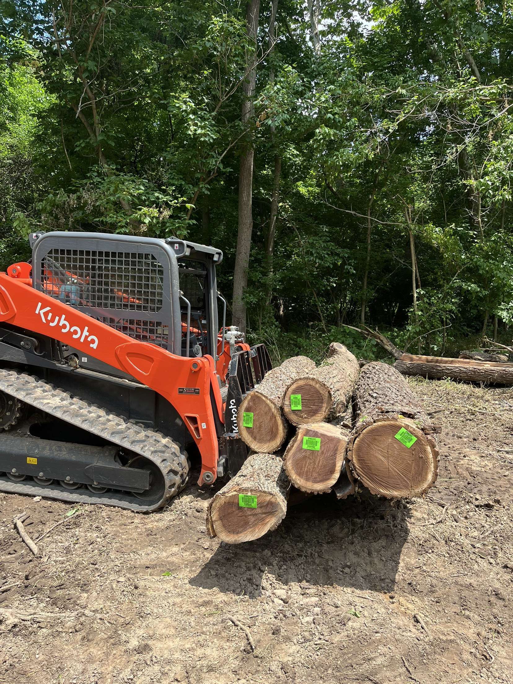 Orange Kubota track loader next to cut logs with green stickers in a wooded area.