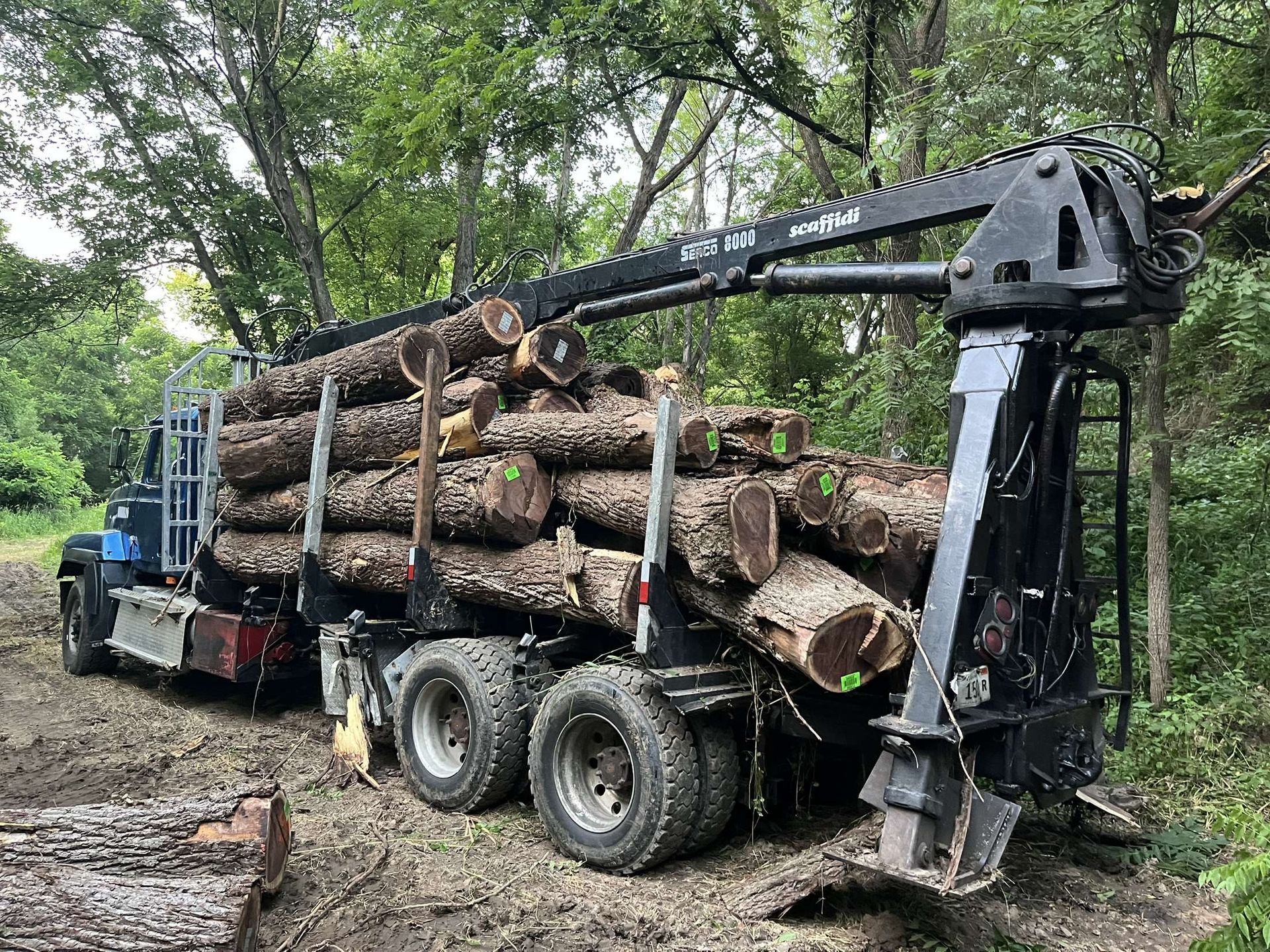 Log truck loaded with timber in a muddy forest clearing. A mechanical arm lifts logs.