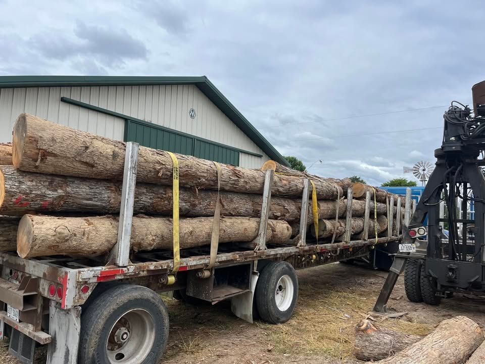 Truck bed loaded with logs near a building, secured by straps.