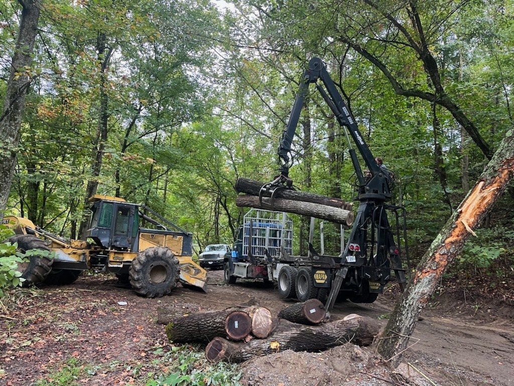A logging truck loads logs in a forest clearing; a yellow machine sits nearby.