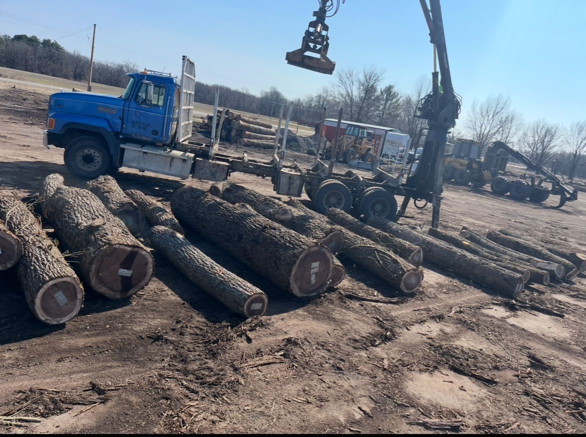 Logging truck loading logs in a brown, outdoor area with a clear, blue sky.