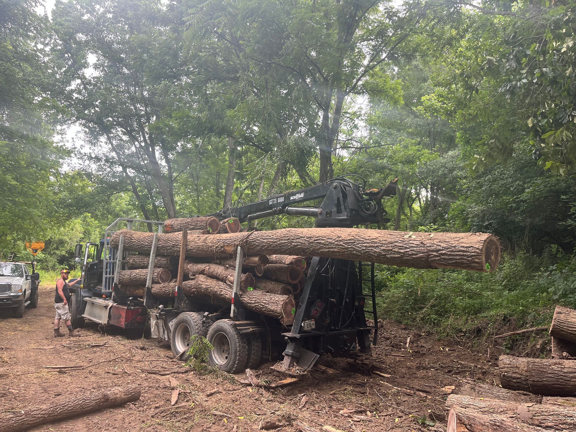 A logging truck loads timber in a forest. A worker stands nearby.