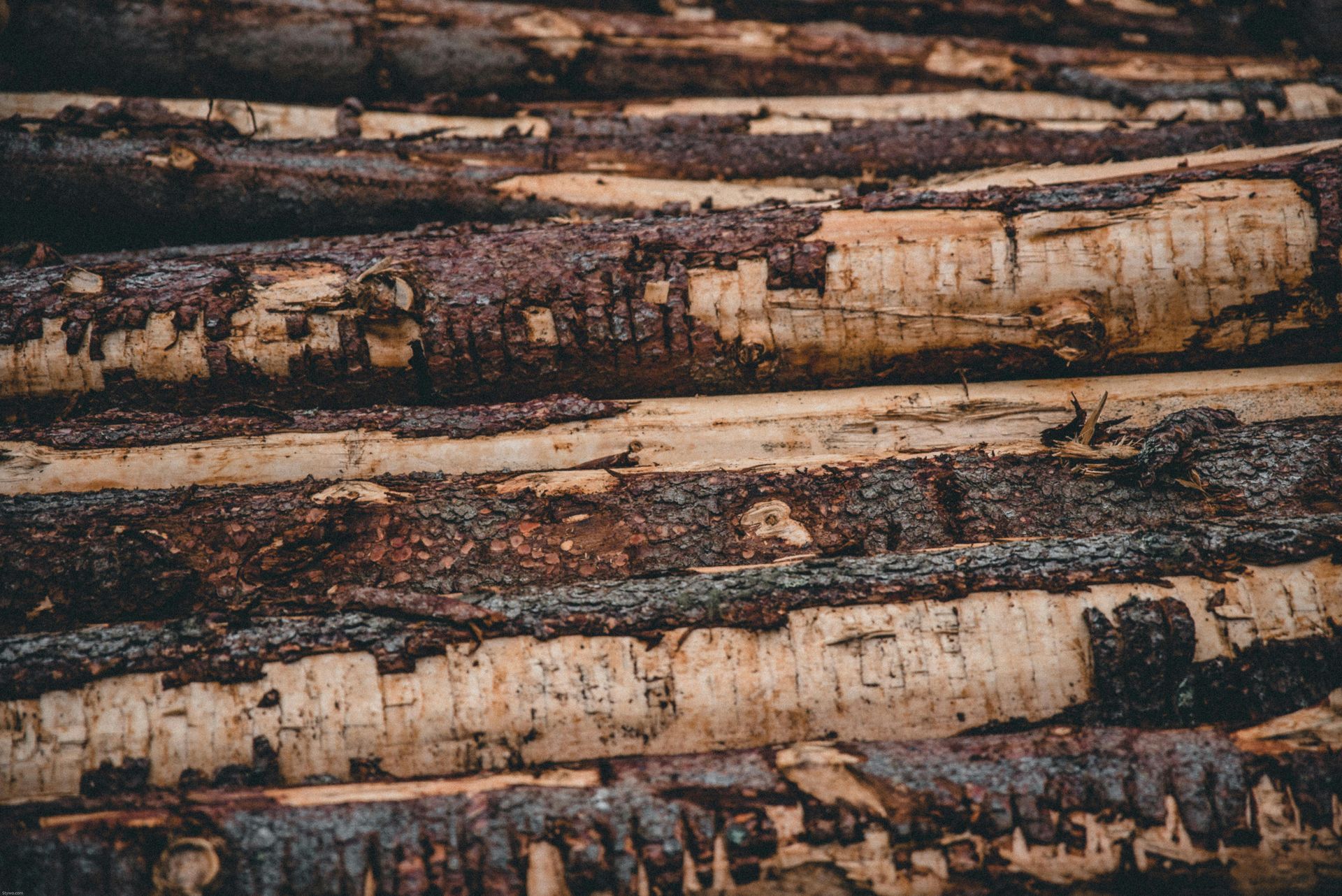 Pile of rough-cut logs with dark, textured bark and light-colored wood exposed.