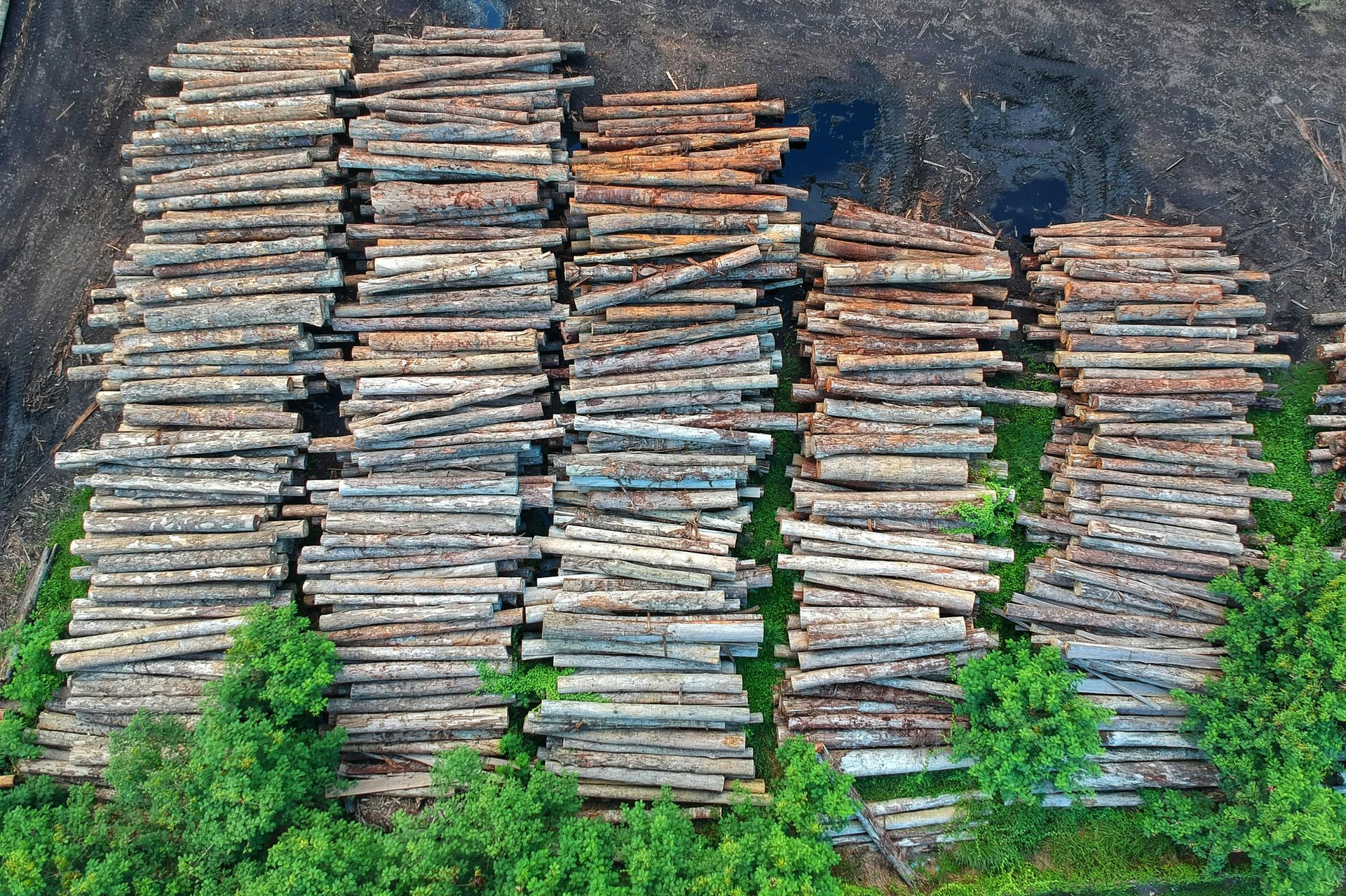 Aerial view of many stacked logs in a clearing, surrounded by green bushes.