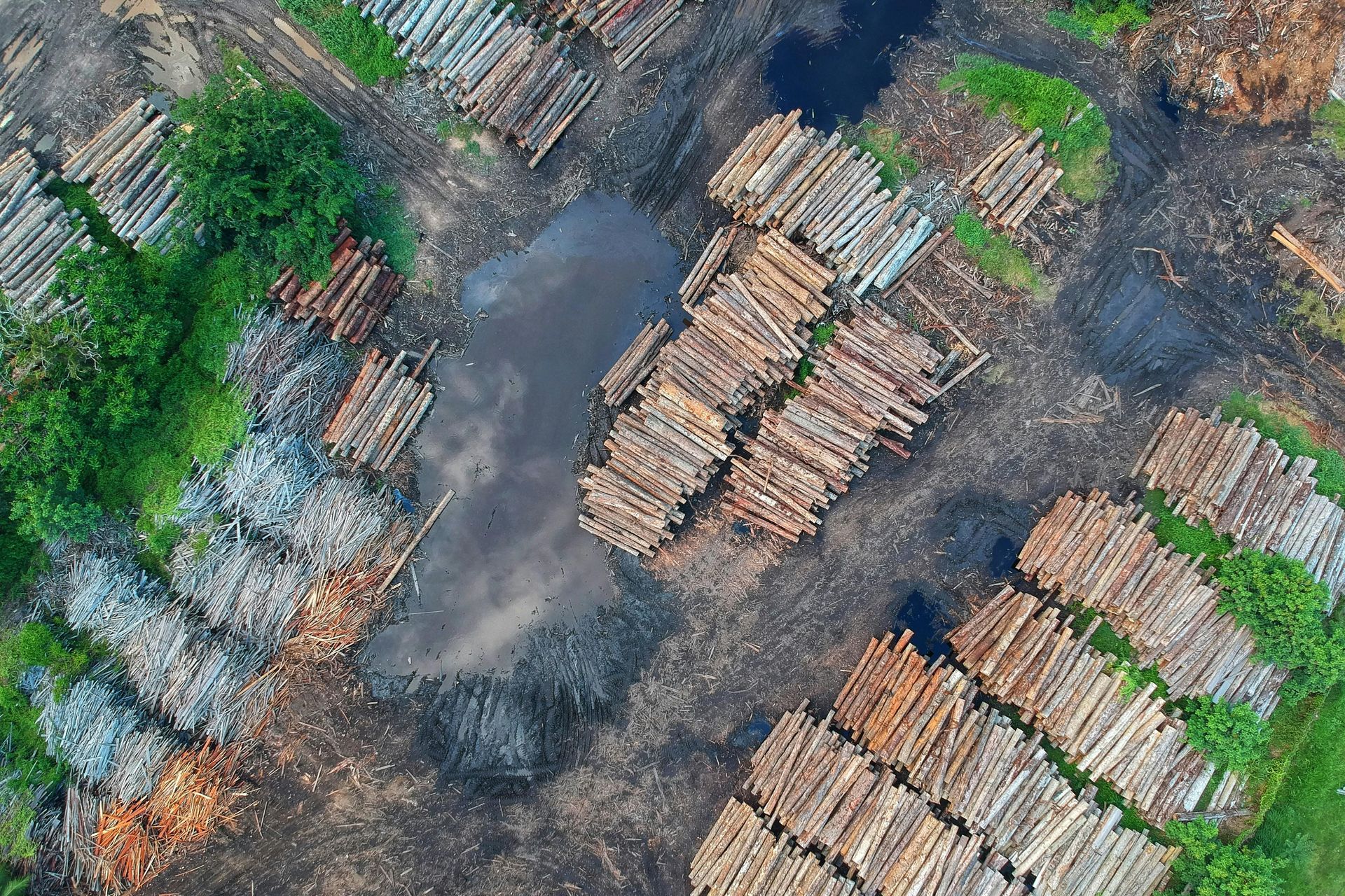 Aerial view of a lumber yard with stacks of logs, dark ground, patches of green vegetation.