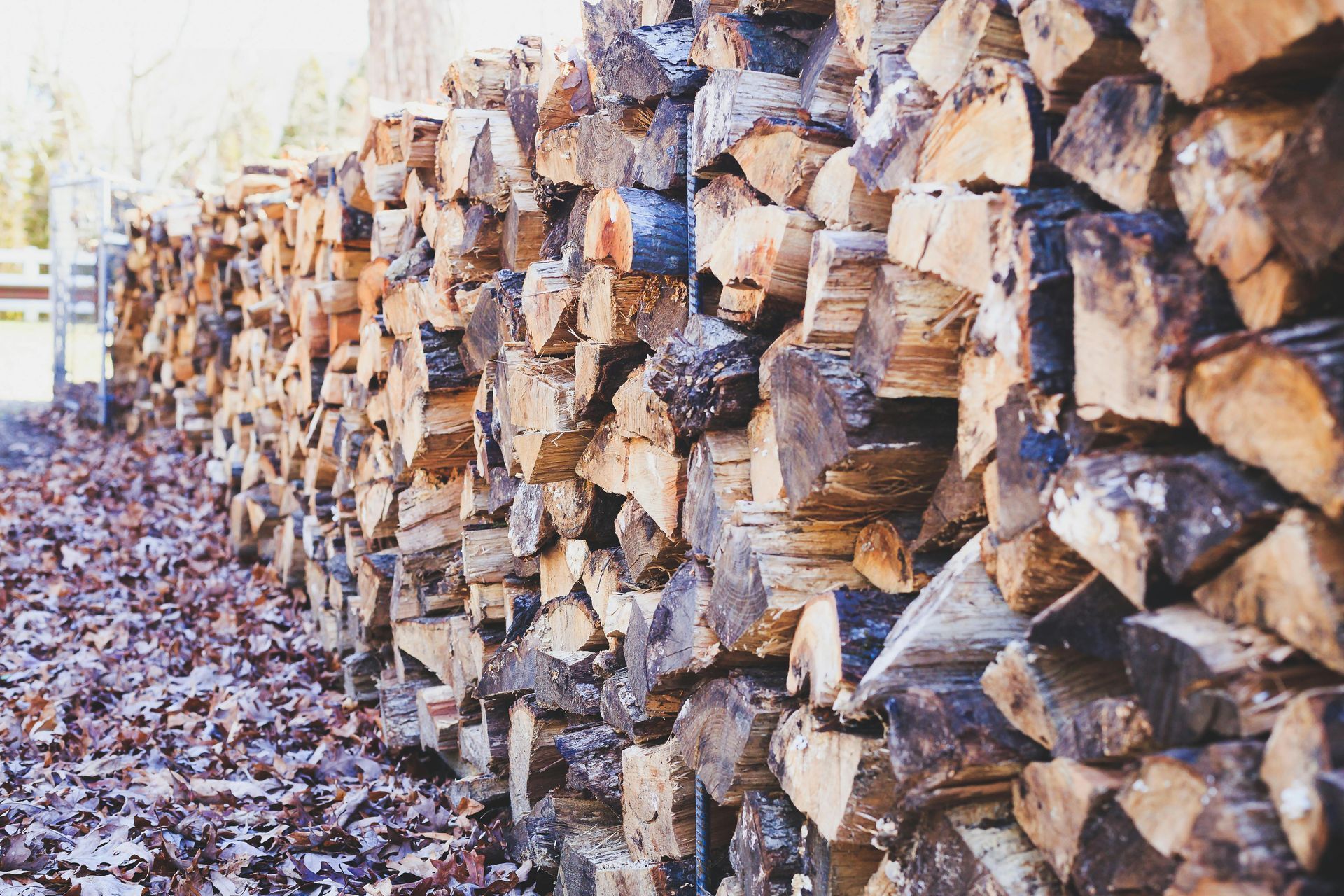 Pile of stacked firewood, brown and tan, beside fallen leaves, outdoors.