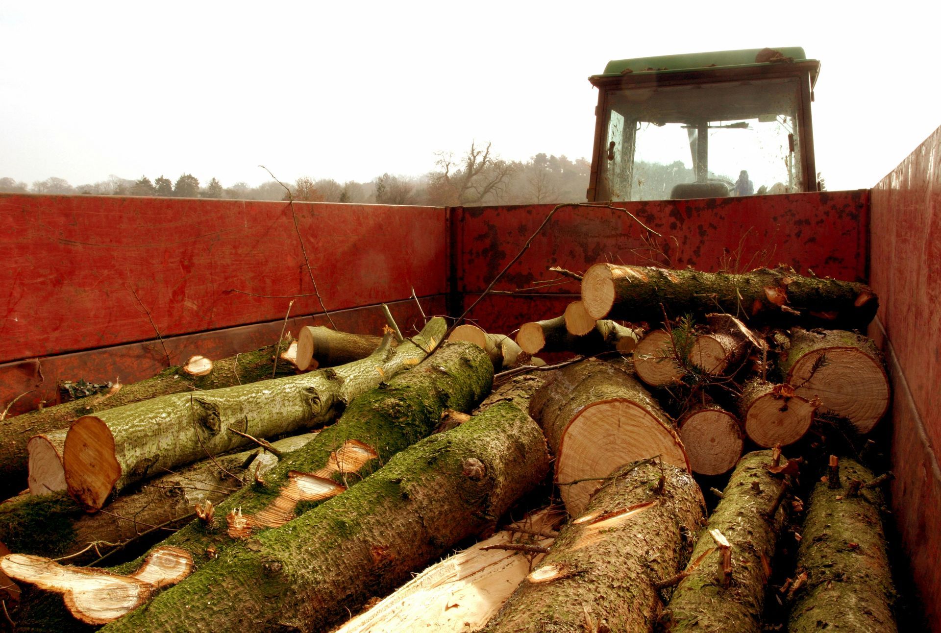 Logs fill a red trailer, a tractor visible in the background under a cloudy sky.