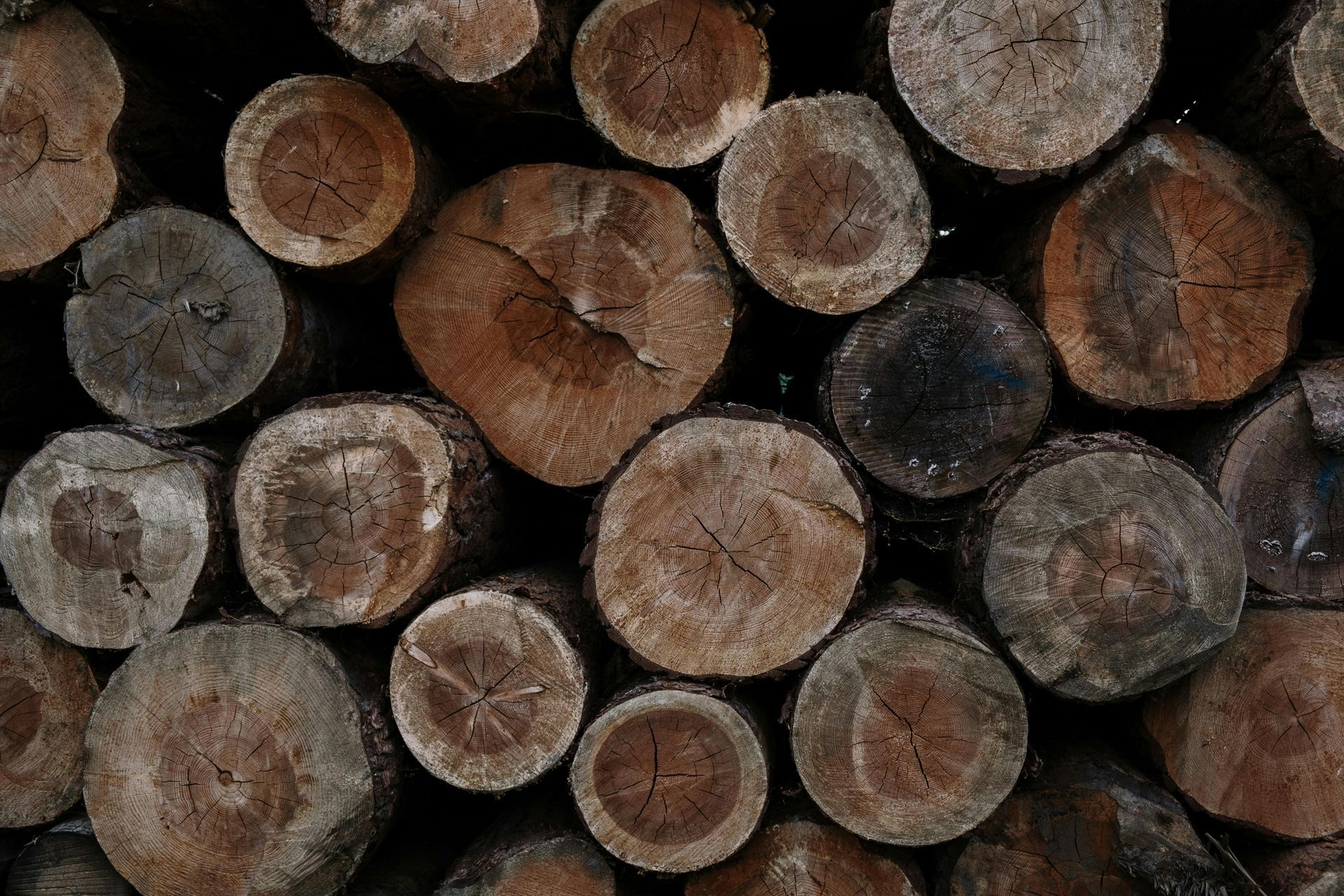 Pile of cut logs, with visible wood grain and varying shades of brown and gray.