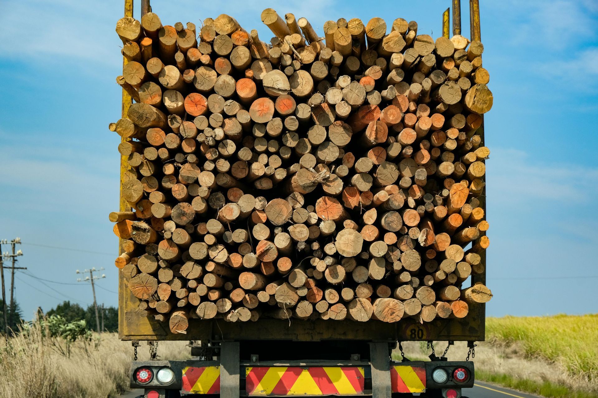 Truck bed filled with stacked logs, traveling on a road with yellow fields.