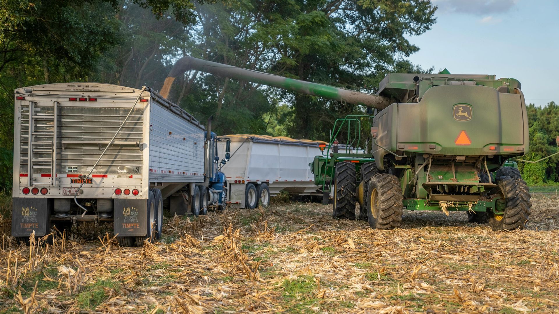 Combine harvester unloading grain into two semi-truck trailers in a field.