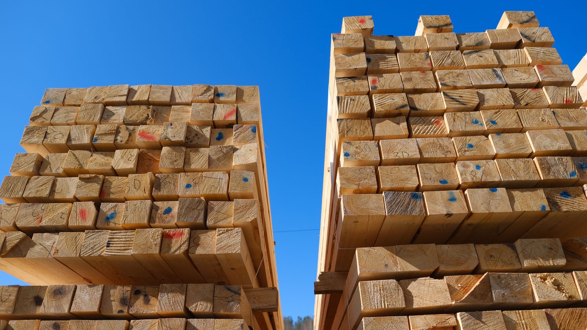 Stacks of fresh-cut lumber against a clear, blue sky.
