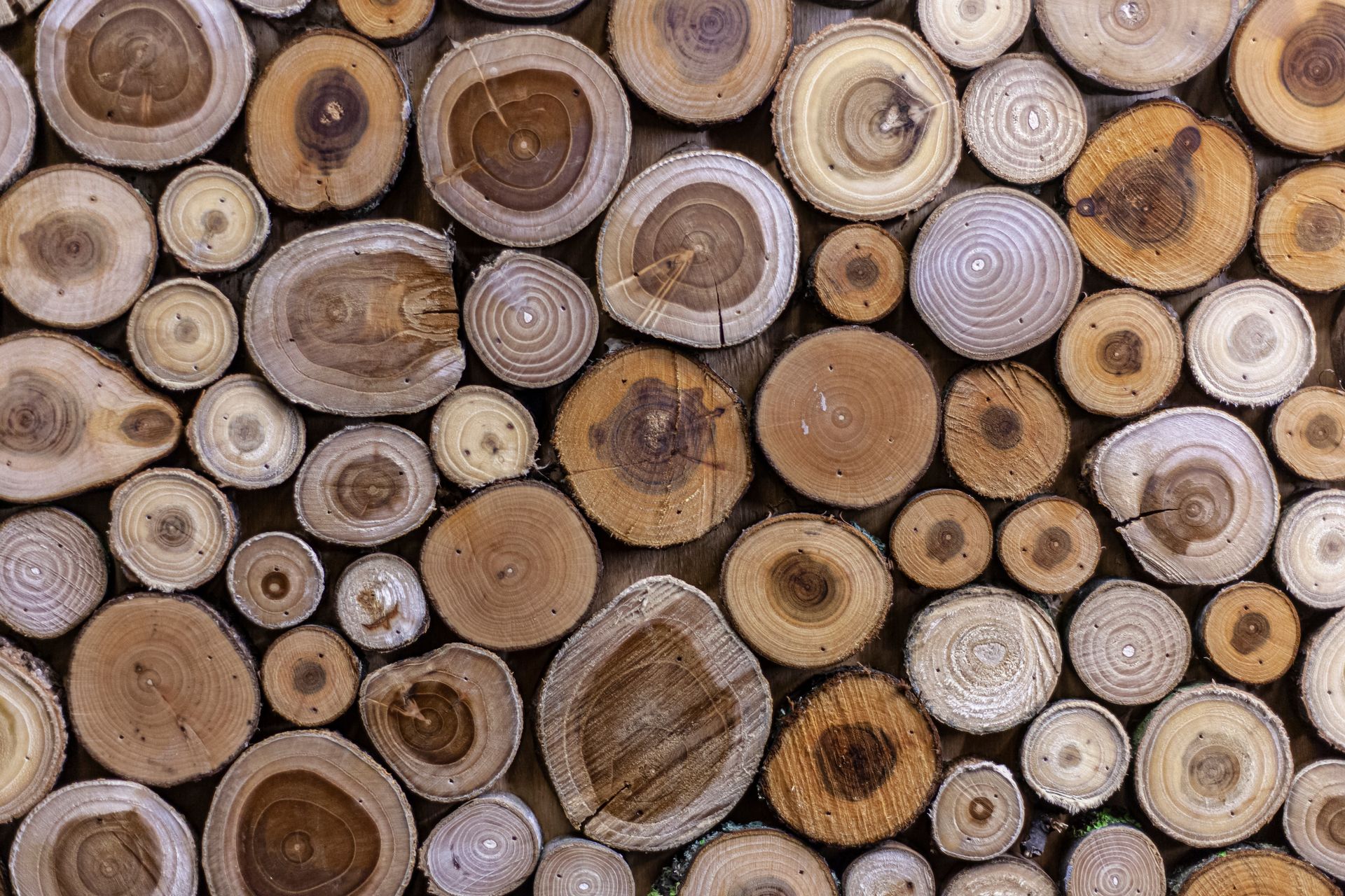 Cross-sections of various brown and beige logs arranged closely together, forming a textured wall or surface.