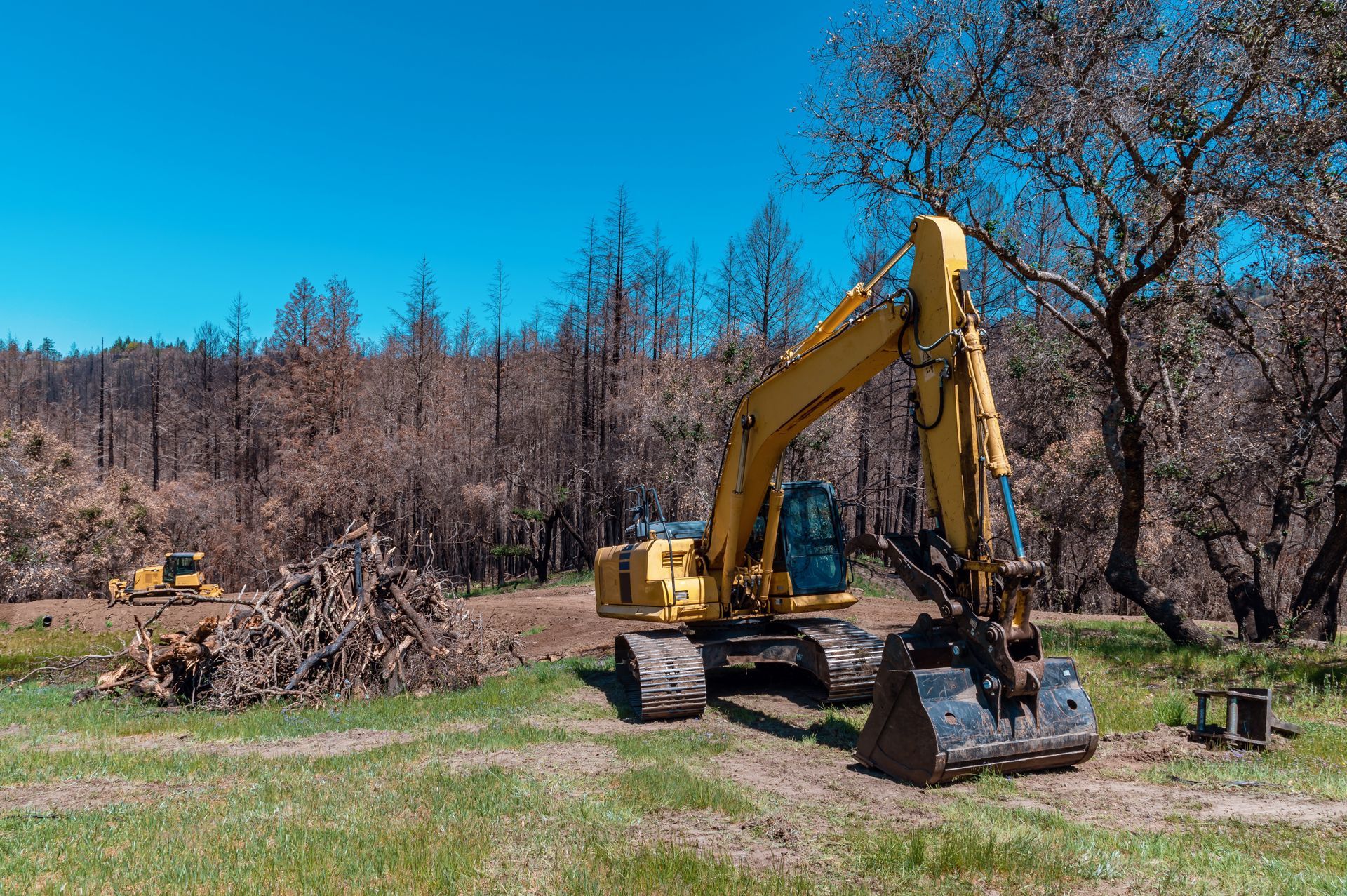 Yellow excavator clearing debris in a charred forest under a clear blue sky.