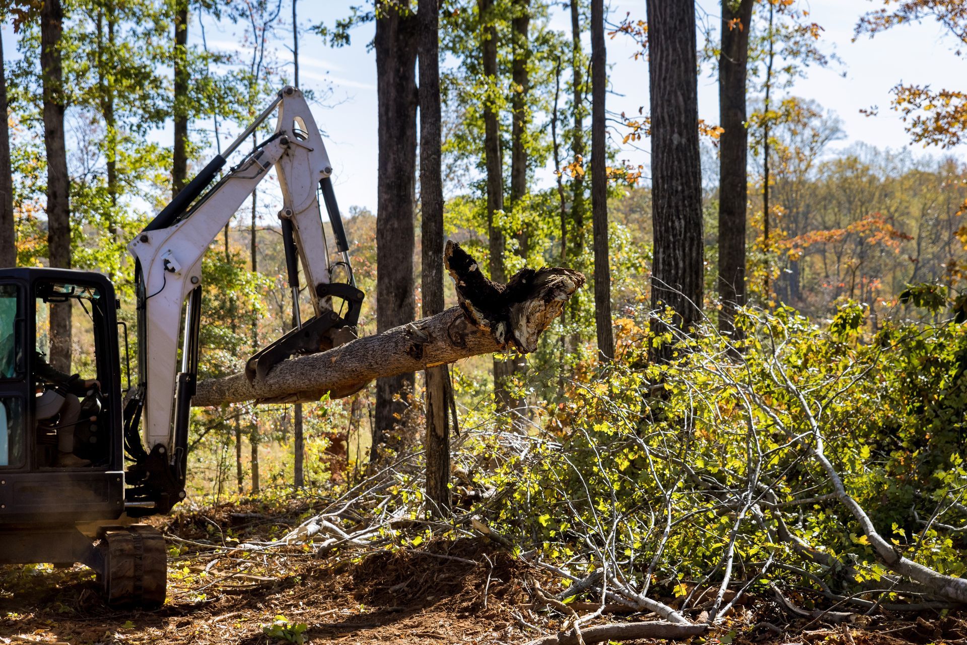 Excavator holding a fallen tree trunk in a forest, surrounded by cut branches and trees.