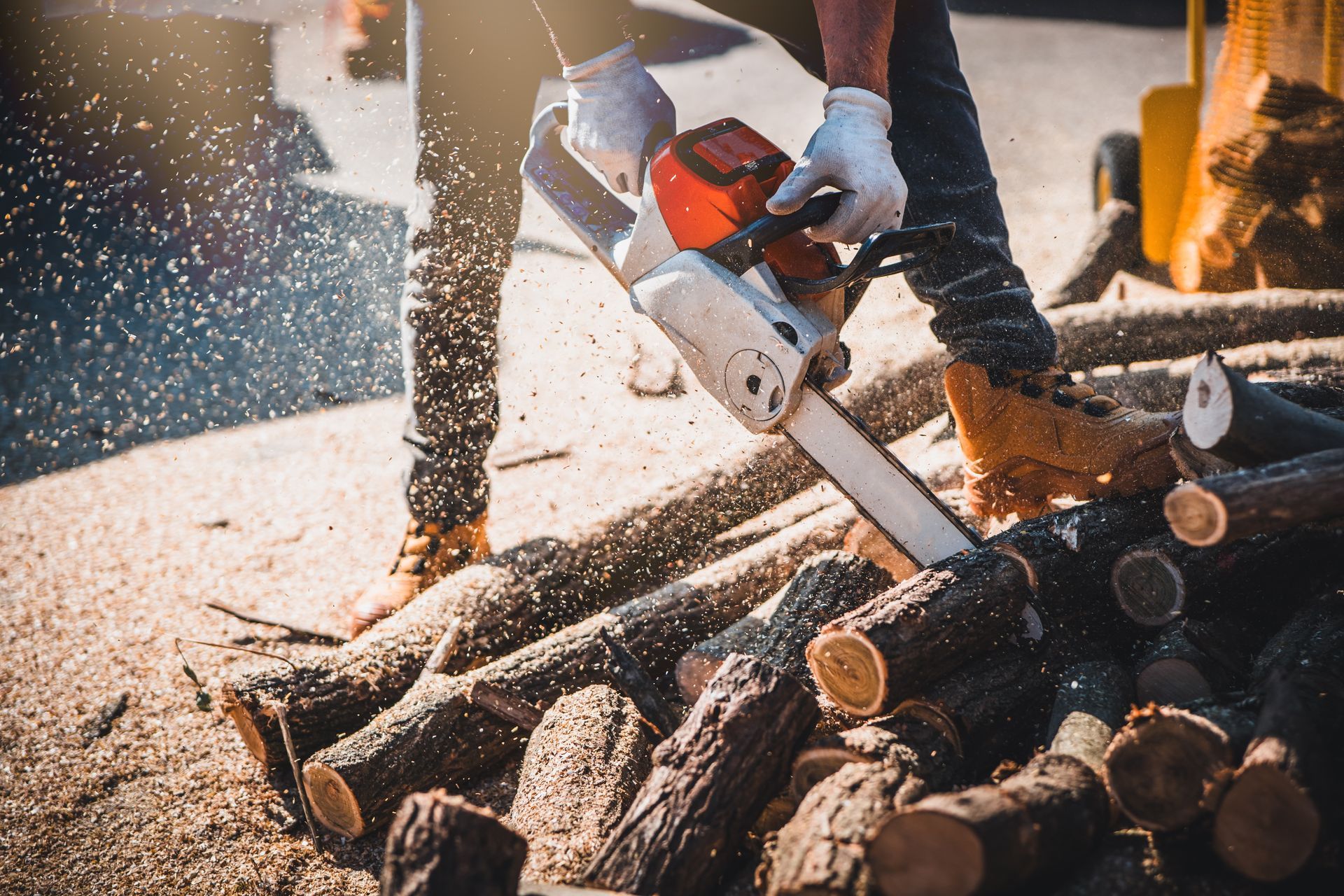Person using a chainsaw to cut firewood outdoors; sawdust flying.