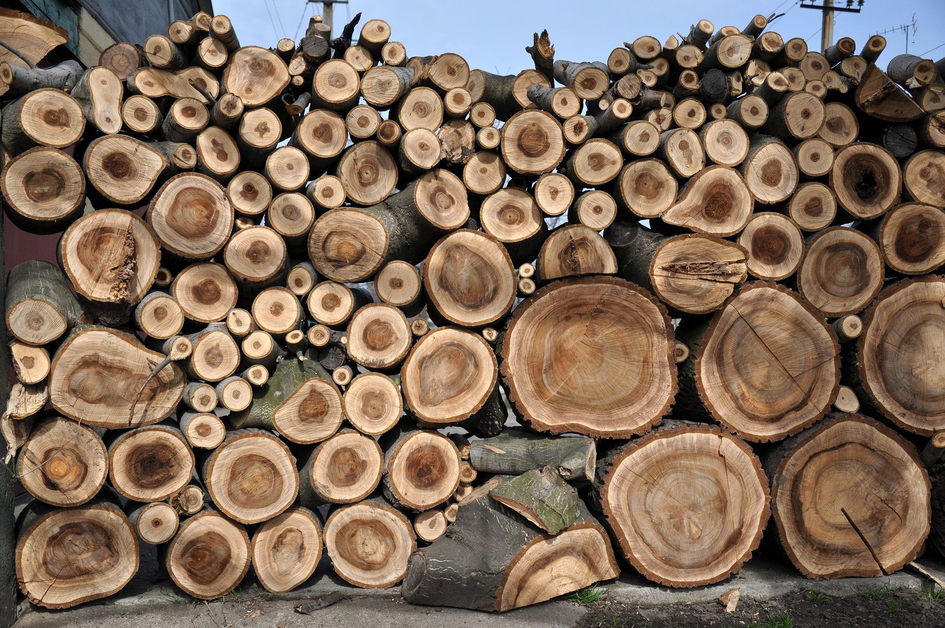 Pile of cut logs, stacked for storage, with visible wood grain and varying sizes.