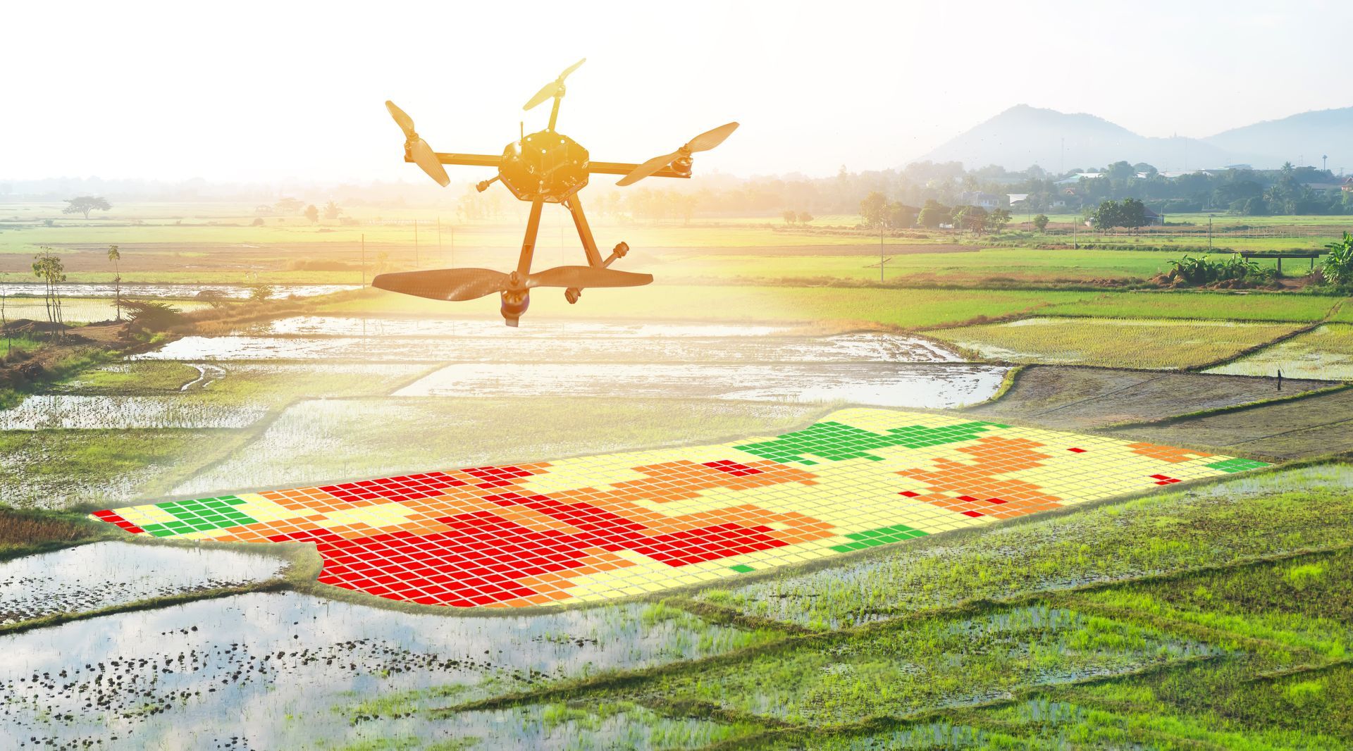 Drone over a rice field, analyzing crop health with a color-coded map displayed on the field.