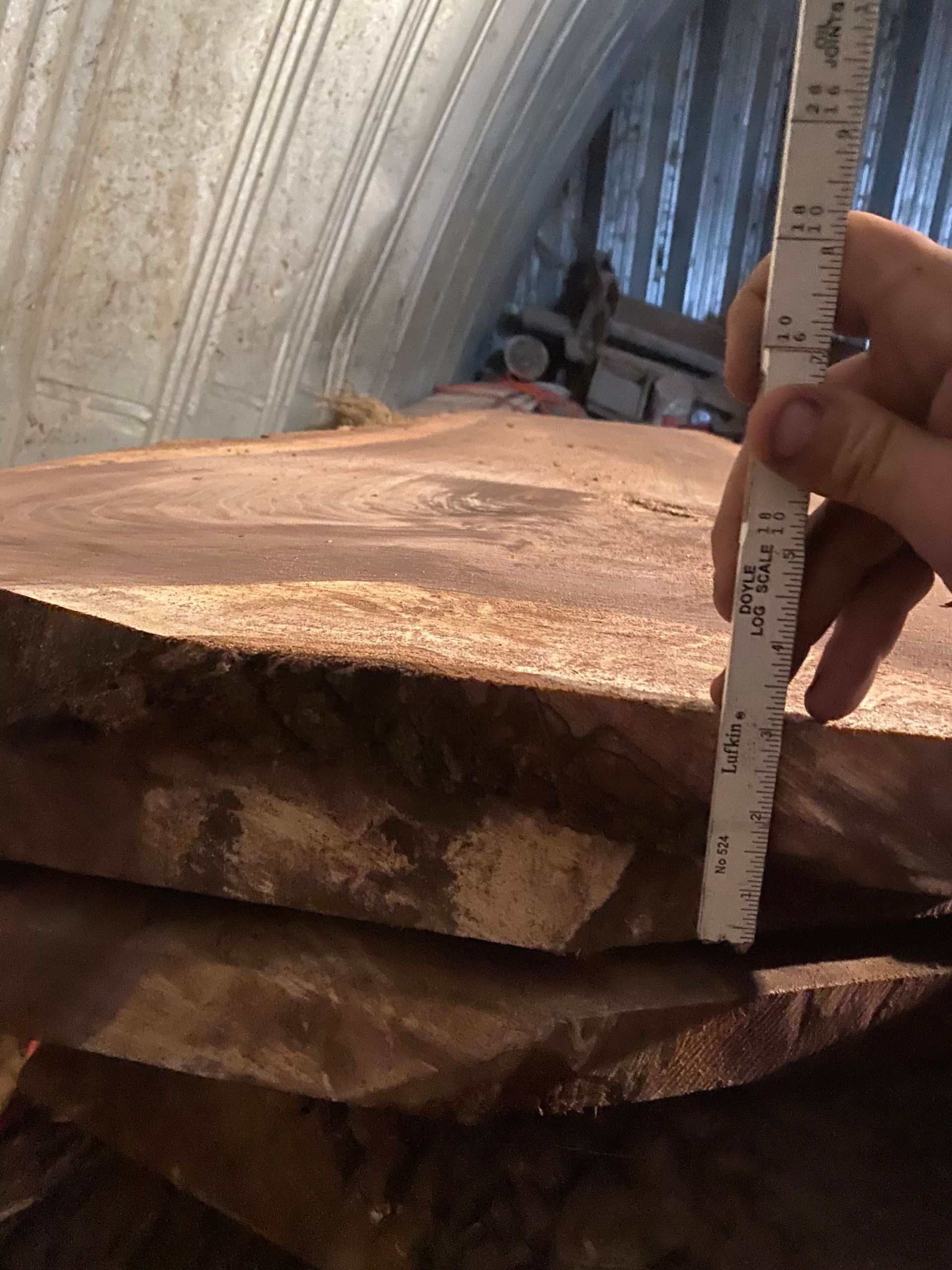A person measures the thickness of a thick, rough-edged wood slab with a ruler.