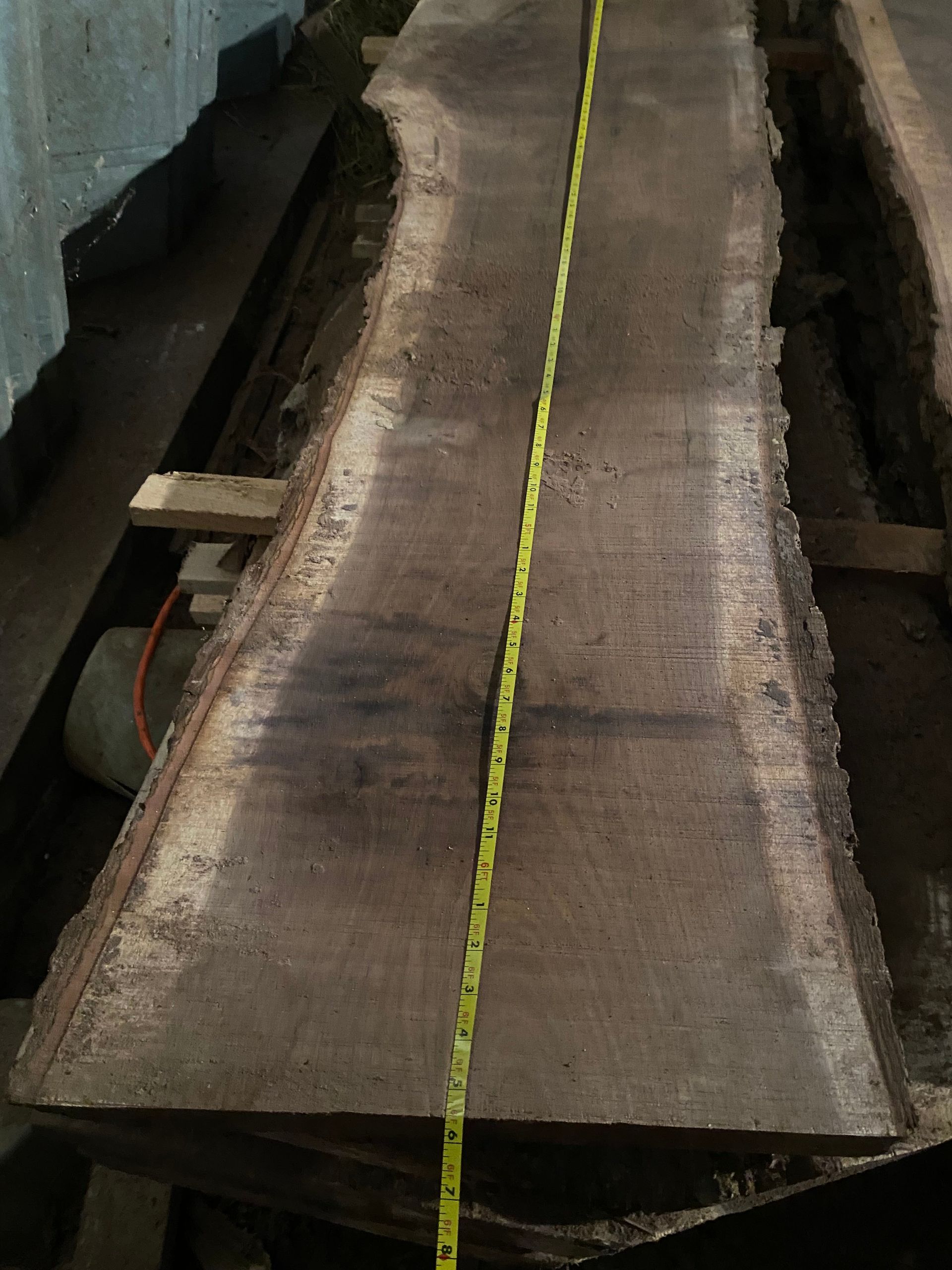 A long, wide, rough-edged walnut wood slab with a yellow tape measure running its length.
