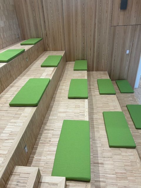 A row of green cushions on wooden steps in a room.