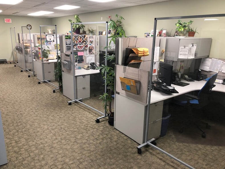 A row of cubicles in an office with dividers between them.
