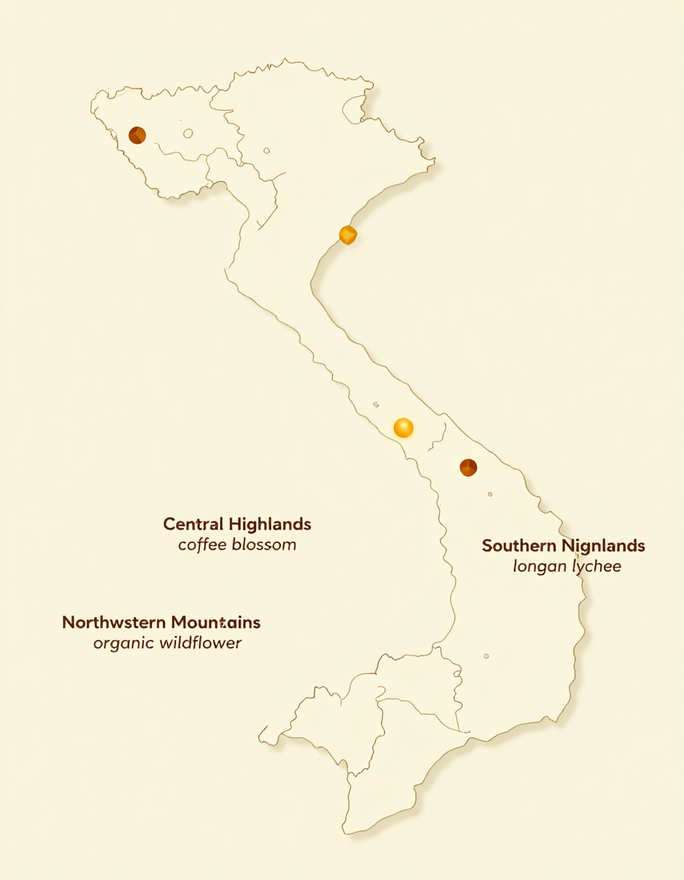 Map of Vietnam's three primary honey-producing regions